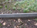 image of grave number 908359